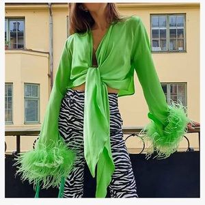 Top with Feathered Sleeves